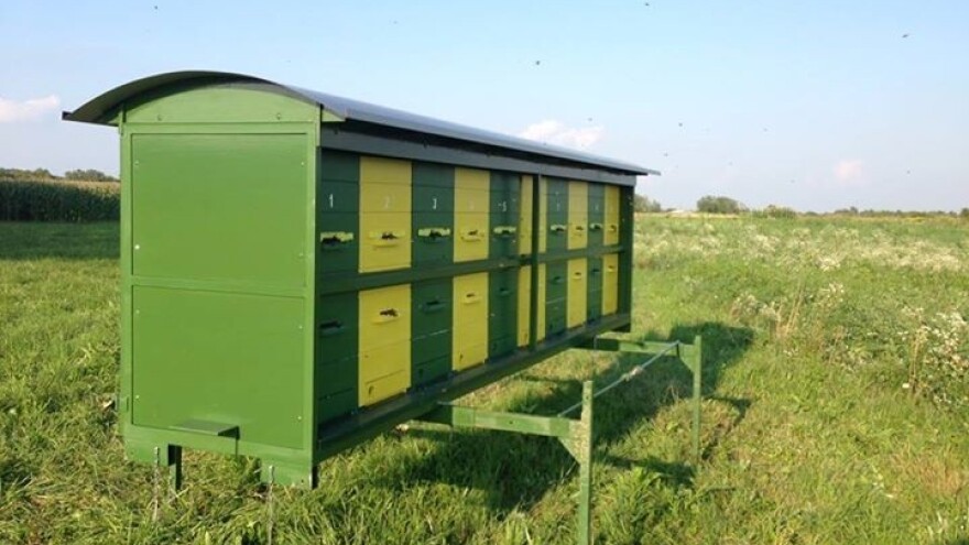 Gdje je ukradeni pčelinjak Gojka Stunjeka?