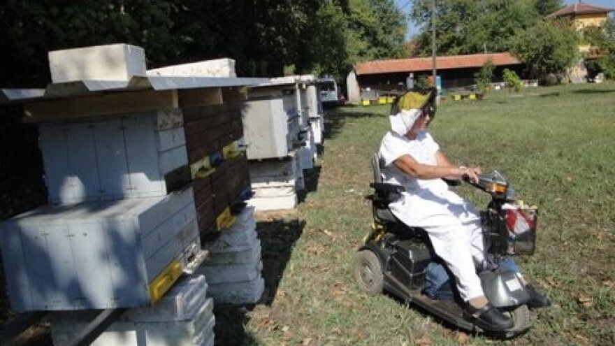 Pčelarska škola za osobe s invaliditetom