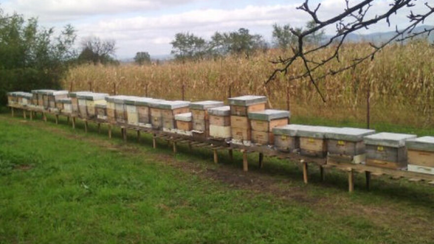 Mlade porodice iz grada se okreću poljoprivredi