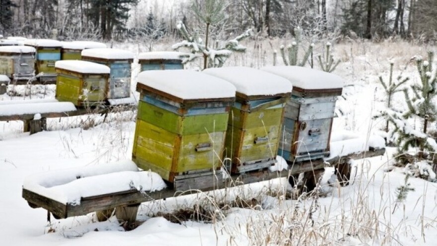 Jeste li utoplili pčelinje zajednice?