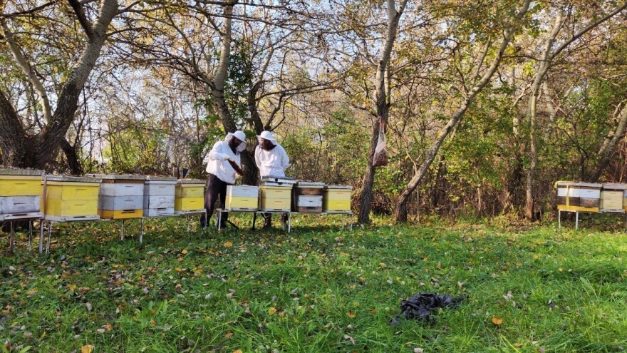 Labin u znaku pčelarstva, apiterapije i apiturizma