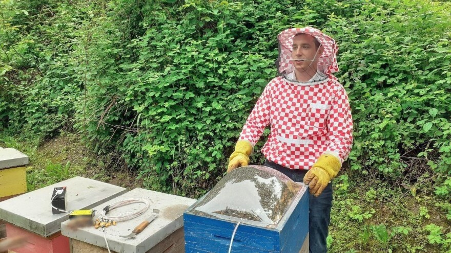 Kako neškodljivo izvaditi pčelinji otrov - pokazao nam je Tvrtko Matijević