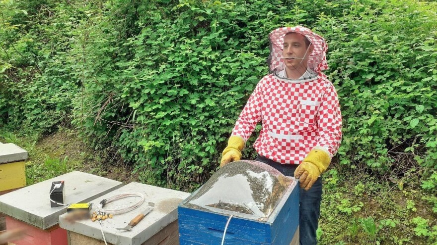 Kako neškodljivo po ove kukce izvaditi pčelinji otrov - pokazao nam je Tvrtko Matijević