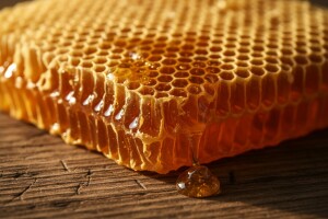 Pčelinji proizvodi: vosak