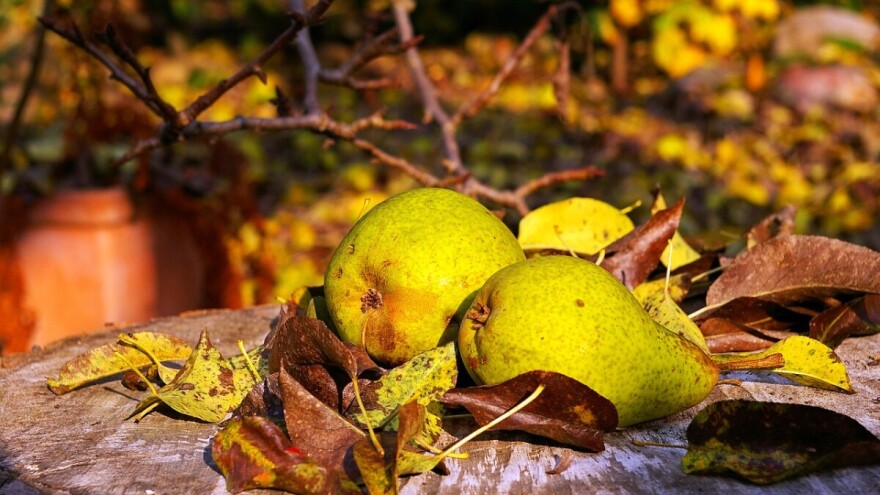 Temperatura će se popeti do 28°C, a onda pogoršanje sa padavinama