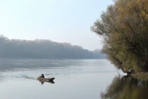 Ribokradice pustoše vojvođanske vode