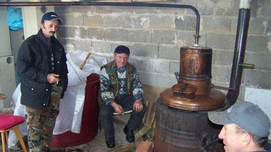 Kako proizvesti vrhunsku šljivovicu?