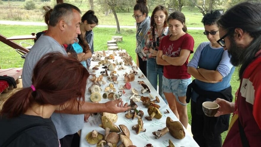 U Peckoj se razvija agroturizam, a dodatni prihod vide u sakupljanju i otkupu gljiva