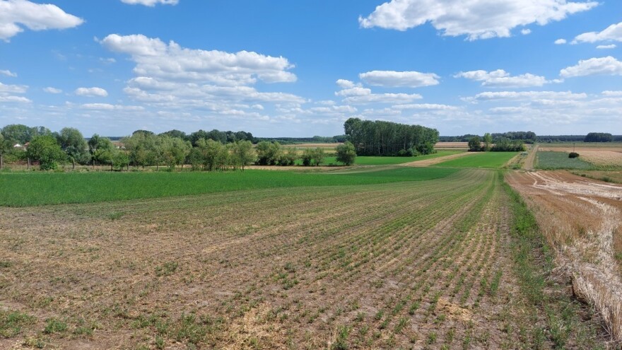 Komasacija: Položaj vlasnika zemljišta prema Zakonu i zastupanje njihovih interesa