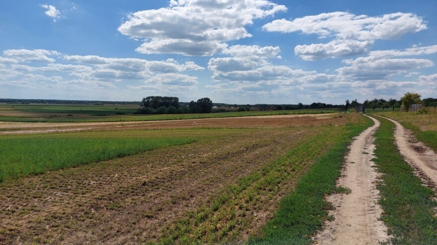 Odobreno je sedam nacionalnih strateških planova ZPP-a: Što čeka EU ove jeseni?