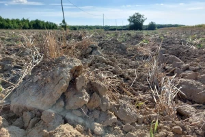 Prirodna nepogoda zbog suše proglašena i u Krapinsko-zagorskoj te Varaždinskoj županiji