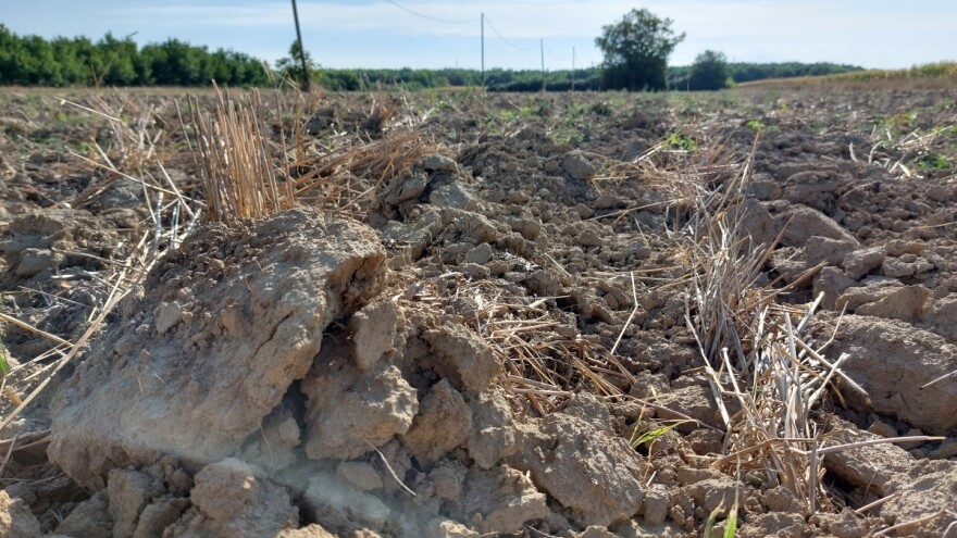 Prirodna nepogoda zbog suše proglašena i u Krapinsko-zagorskoj te Varaždinskoj županiji