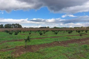 Aktiviran meteoalarm: Spremite se za obilne padavine - kulminacija sutra