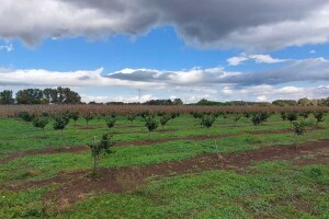 Aktiviran meteoalarm: Spremite se za obilne padavine - kulminacija sutra