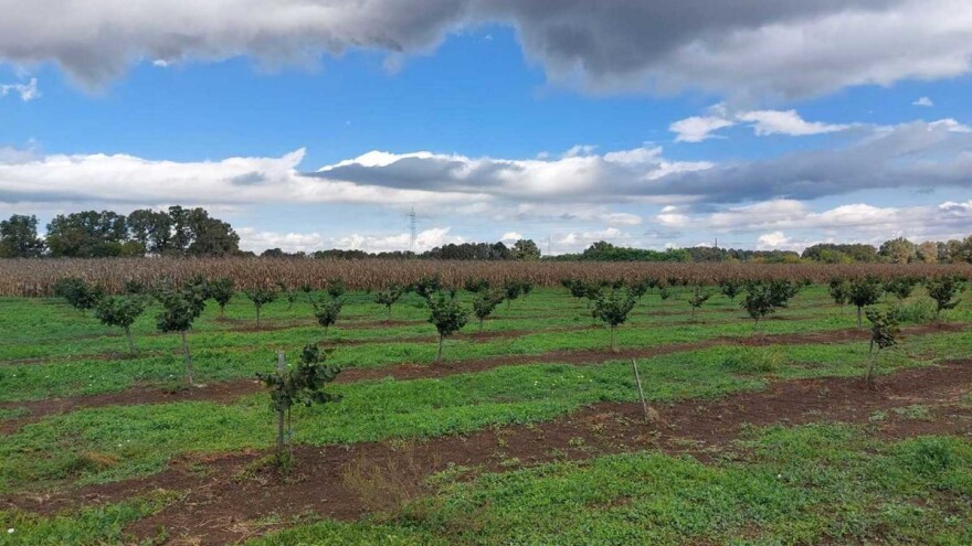 Aktiviran meteoalarm: Spremite se za obilne padavine - kulminacija sutra