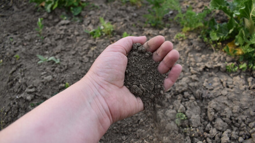 Crne prognoze: Oko 95 posto tla će biti degradirano do 2050. godine?