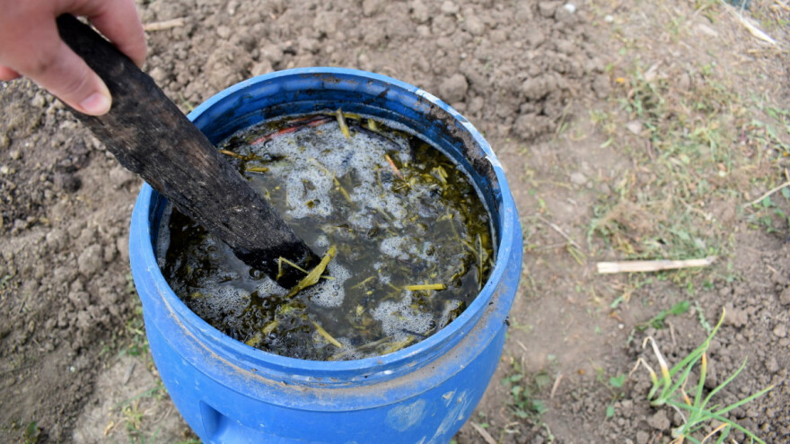 Kako pripremiti prirodna đubriva - od bilja, komposta, stajnjaka i pepela?