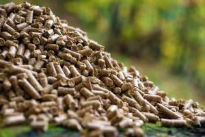 Stručna i znanstvena potpora drvnoj industriji