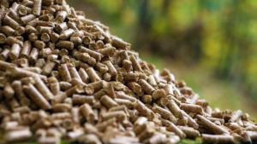 Stručna i znanstvena potpora drvnoj industriji