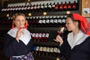 Otvara se prvi hrvatski muzej vinogradarstva i vinarstva!    