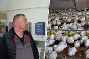 Krah tova peradi zbog energenata: Cijena plina po turnusu s 30 skočila na 300 tisuća kuna!