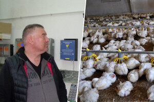 Krah tova peradi zbog energenata: Cijena plina po turnusu s 30 skočila na 300 tisuća kuna!