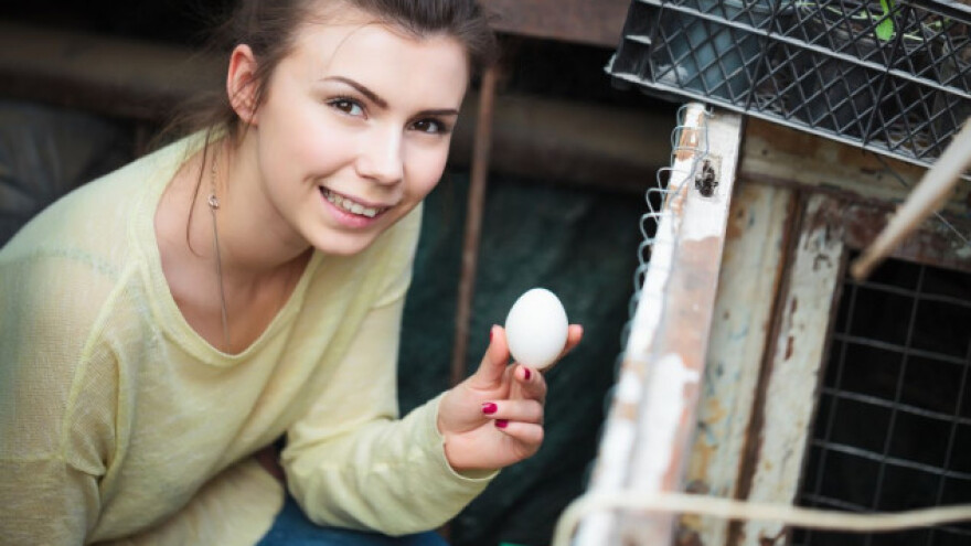 Novi standardi za peradarske i svinjske farme