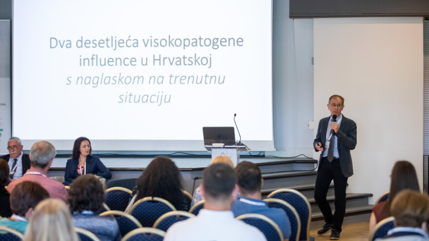 Cijepljenje peradi protiv ptičje gripe je skupo, a može dati i lažan osjećaj sigurnosti