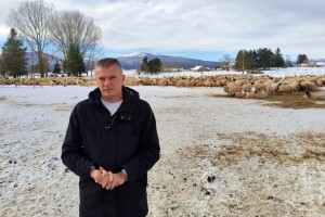 Perica Romić politiku zamijenio farmom: Kad bih prodao ovce, odmah bih umro