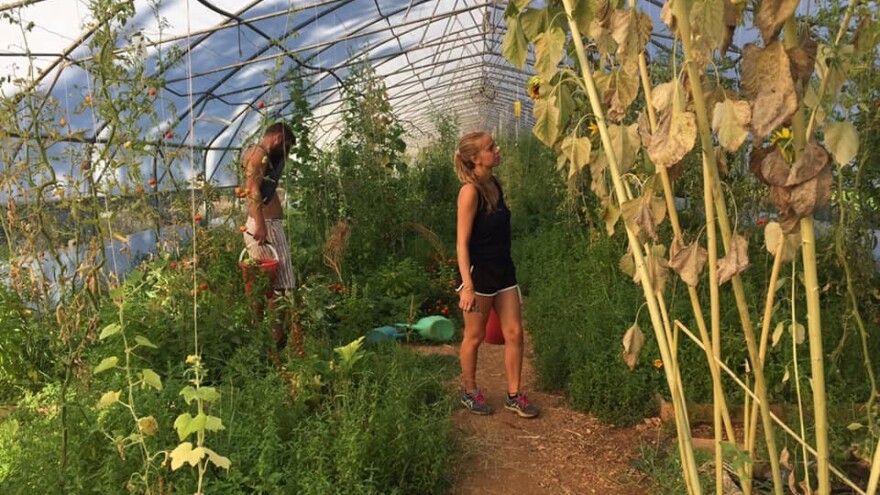 Prvi festival permakulture u BiH - čekaju vas zanimljiva predavanja