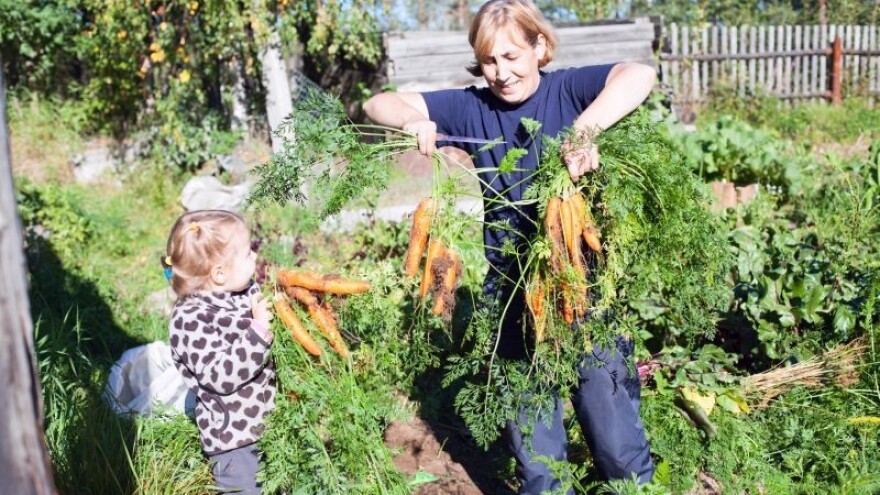 72-satni tečaj permakulturnog dizajniranja na Visu!