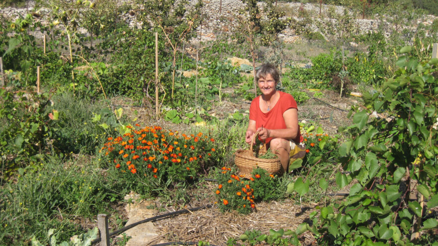 Sabine Engelhardt: Vrijeme je promjena, okrenimo se proizvodnji hrane