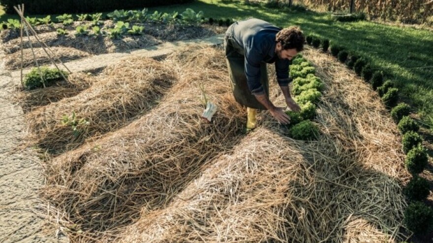 Bašta u harmoniji sa prirodom