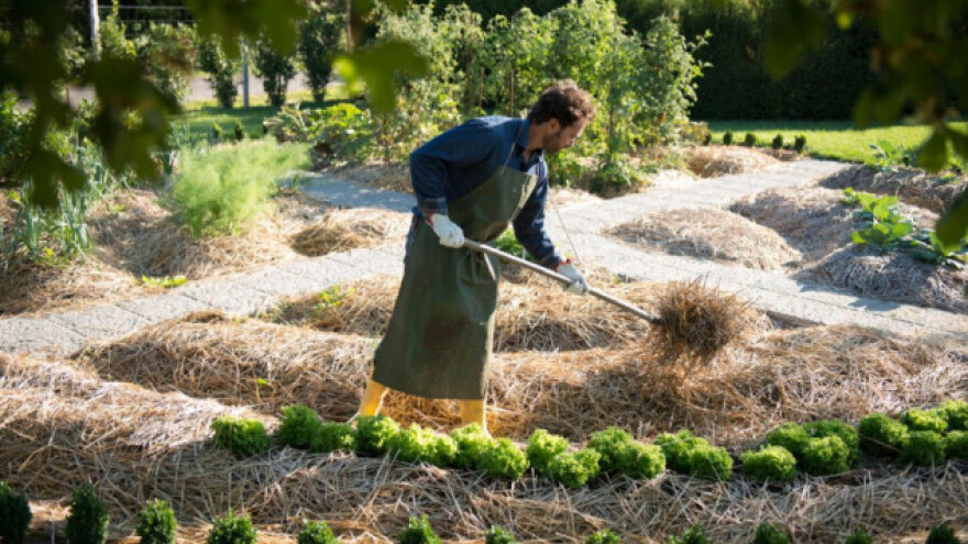 Što je ekološki, a što permakulturni vrt?