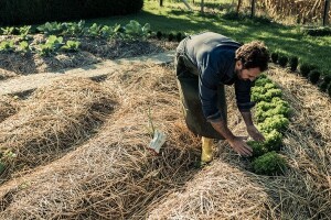 Fond za stipendiranje učitelja permakulture