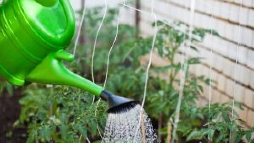 Tečaj permakulturnog dizajna  - Osijek