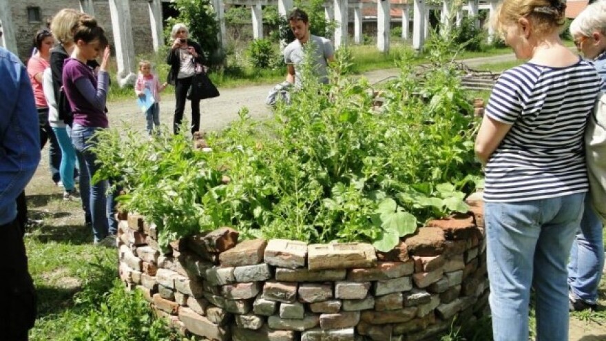 Permakulturni vrt u harmoniji s prirodom