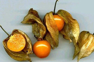 Usred Slavonije uzgajaju kiwano, goji bobice, peruanske jagode
