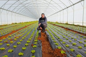 Profitabilna zimska kristalka Josipa Pešića sa zaštićene Velike Opatije