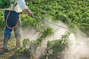 Kraj nekontroliranoj uporabi pesticida u Hrvatskoj