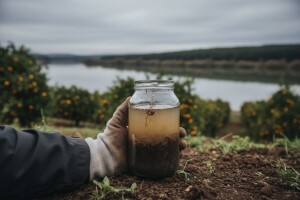 Pesticidi krivi za veći broj oboljelih od raka