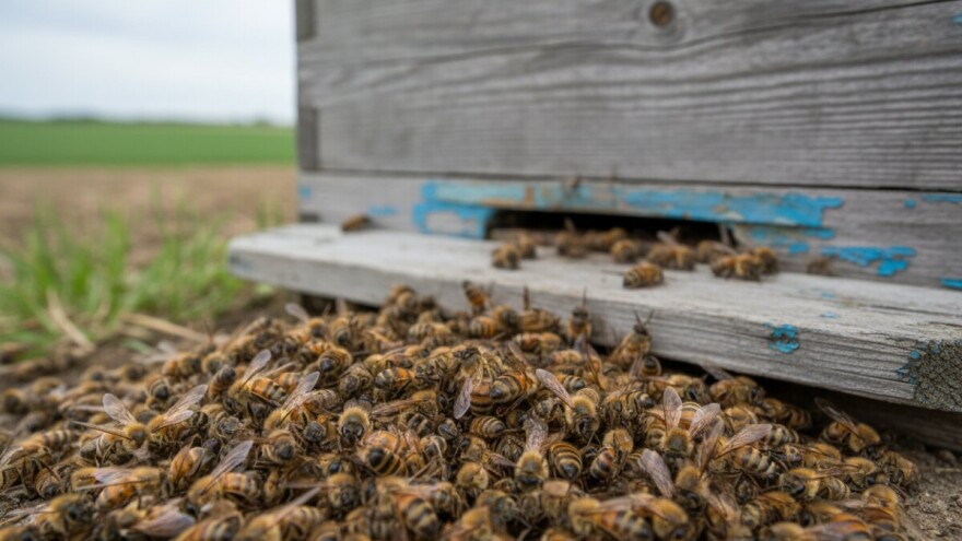 Pesticidi mu uništili pčele