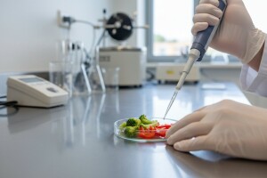 Pesticidi u povrću se otkrivaju za dva sata