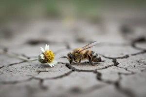 Pesticidi "ubijaju" pčele diljem svijeta