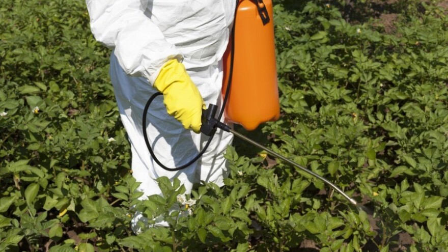 Jača korijen, stimulira prinos i štedi novac!