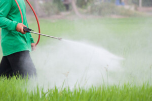 Pesticidi i respiratorni problemi?