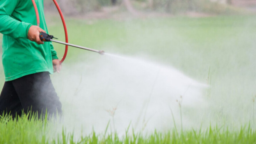 Pesticidi i respiratorni problemi?