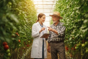 Pet milijuna kuna za klastere