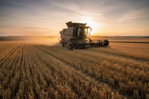 Pet najčitanijih julskih tema  na Agroklub sajtu