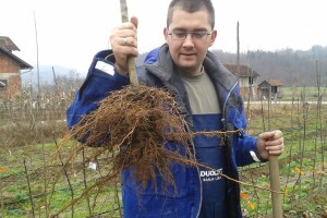 Petar Ninić radi u gradu, a ulaže u selo – šta je s ostalim mladima?